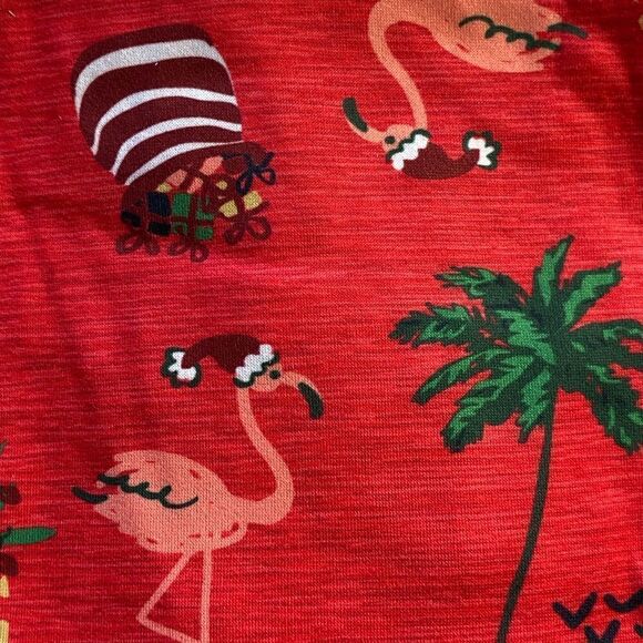 ANDE Holiday Men’s Small Pant and T-Shirt Sleep Set - Festive Flamingos - Picture 4 of 5